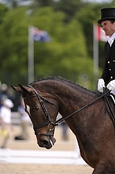 Phillip Dutton and Mighty Nice Rolex 2012