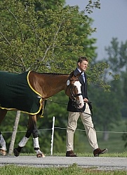 Boyd Martin and Otis Barbotiere Rolex Three Day Jog Up