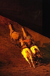 Cavalias Odysseo