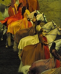 Cavalias Odysseo