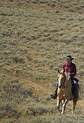 Riding in Wyoming with blue Sky Sage Adventures