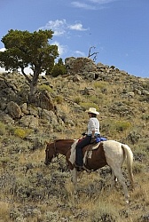 Riding in Wyoming with blue Sky Sage Adventures