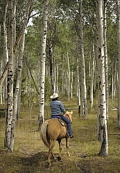 Riding in Wyoming with blue Sky Sage Adventures