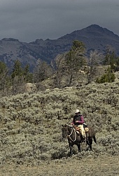 Riding in Wyoming with blue Sky Sage Adventures