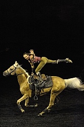 Cavalias Odysseo Quarter Horse Trick Riding