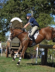 Boyd Martin and Neville Bardos WEG 2010