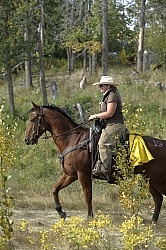 Trail Riding Western