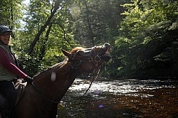 Trail Riding English