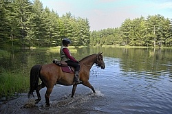 Trail Riding English