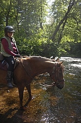 Trail Riding English