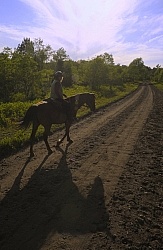 Trail Riding English