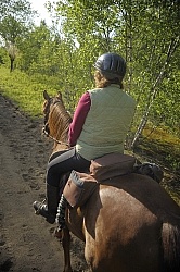 Trail Riding English