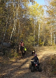 Encounters on the Trail