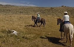 Encounters on the Trail