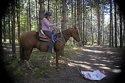 Trail Riding Desensitizing