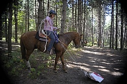 Trail Riding Desensitizing