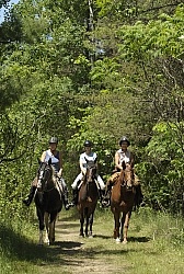 Trail Riding Group