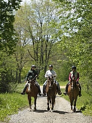 Trail Riding group