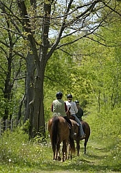 Trail Riding group
