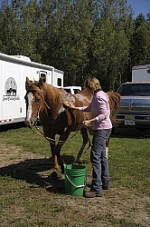 Sponging off after ride