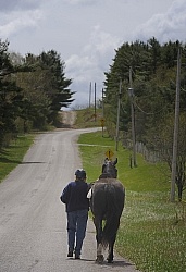 Walking last part of Trail to cool down