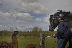 Encounters on the Trail