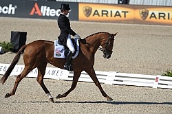 Phillip Dutton and Woodburn WEG 2010