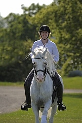 Lusitano Under Saddle