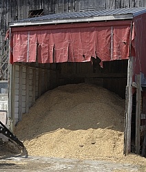 Shavings Storage
