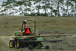 Bringing in Hay