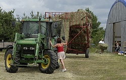 Bringing in Hay