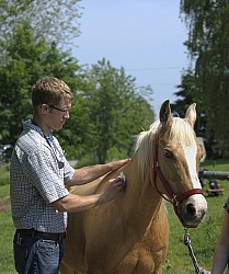 Vet Giving Vaccinations