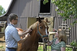 Vet Giving Vaccinations