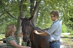 Vet Giving Vaccinations