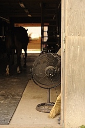Fan in Barn