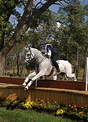 Rebecca Holder and Courageous Comet WEG 2010