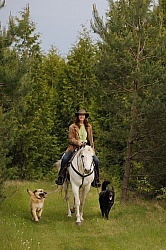 Trail Riding with Dogs