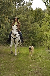 Trail Riding with Dogs