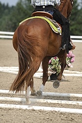 Trail Class Lope Over