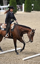 Trail Class Lope Over