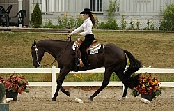 Trail Class Lope Over