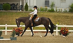 Trail Class Lope Over