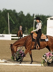 Quarter Horse Show Palgrave 2012 Trail Class The Turn Around