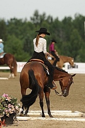 Quarter Horse Show Palgrave 2012 Trail Class The Turn Around