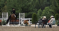 Judging the Rope Gate in the Trail Class