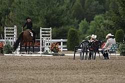 Judging the Rope Gate in the Trail Class