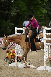 The Rope Gate in Trail Class