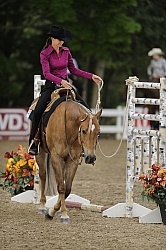 The Rope Gate in Trail Class