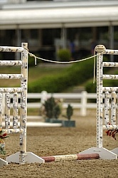 The Rope Gate in Trail Class