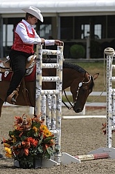 The Rope Gate in Trail Class at Quarter Horse Show, Palgrave 2012